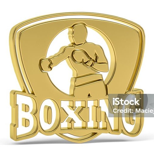 boxing club logo